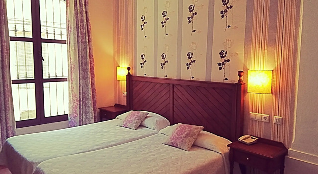 Двухместный номер Standard Hotel Rosaleda Don Pedro