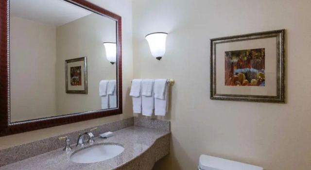 Двухместный номер with bathtub Accessible Hilton Garden Inn Las Vegas Strip South