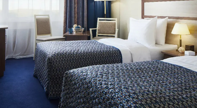 Standard Twin room Sigma (Official partner of the Delta Izmailovo Hotel)