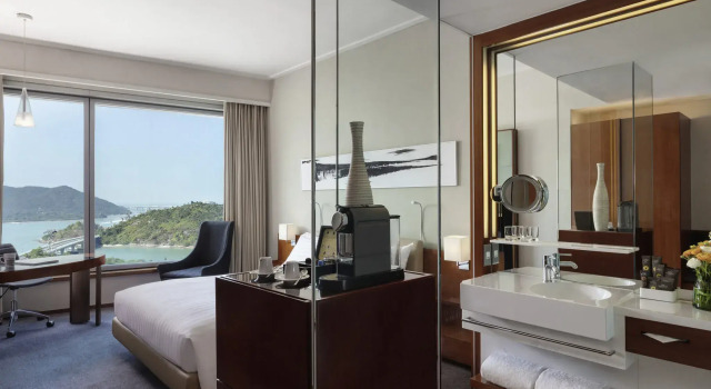 Двухместный номер Executive Premier Novotel Citygate Hong Kong