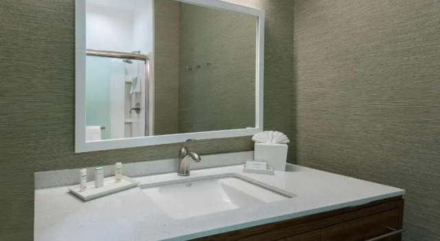 Люкс c 1 комнатой Home2 Suites By Hilton Austin Airport
