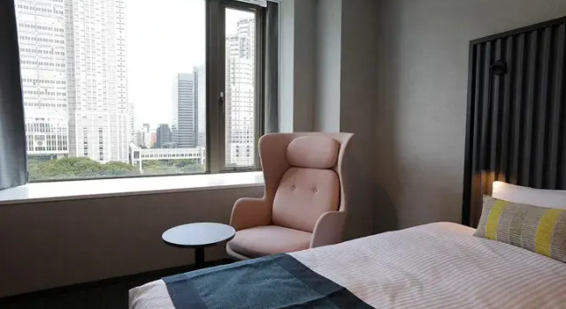 Двухместный номер Deluxe с видом на парк THE KNOT TOKYO Shinjuku