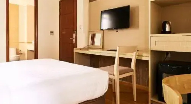 Двухместный номер Без окна Deluxe GK Central Hotel