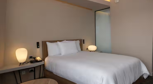 Двухместный номер для людей с ограниченными возможностями Hilton Garden Inn Lima Miraflores