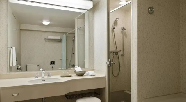 Двухместный номер with Shower Cubicle Deluxe The Prince Kyoto Takaragaike