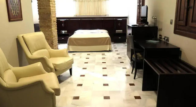 Двухместный люкс Hotel Don Miguel