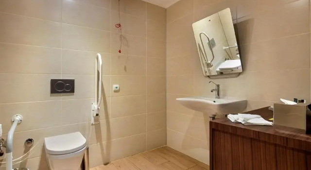 Двухместный номер Accessible Hilton Garden Inn Izmir Bayrakli