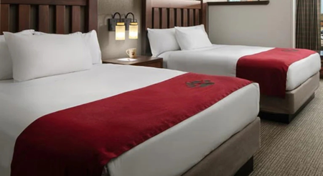 Bear Suite Grizzly Great Wolf Lodge Grapevine