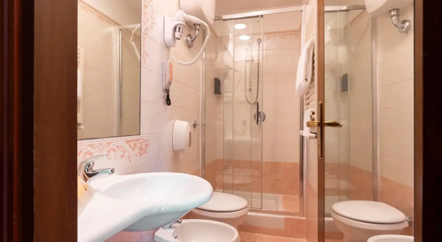 Economy Double room Hotel Hiberia
