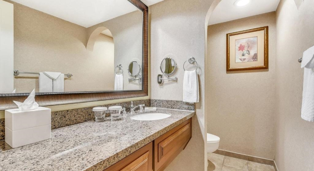 Двухместный люкс Signature c 1 комнатой Hilton Phoenix Tapatio Cliffs Resort