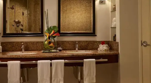 Двухместный полулюкс Seminole Hard Rock Hotel & Casino