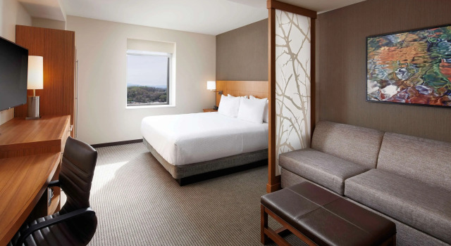 Номер c диваном Hyatt Place Knoxville/Downtown
