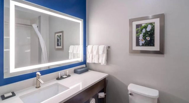Двухместный номер Accessible La Quinta Inn & Suites by Wyndham Tifton