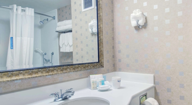 Двухместный номер для некурящих Mobility/Hearing Accessible with Roll-In Shower Hampton Inn & Suites Boston Crosstown Center