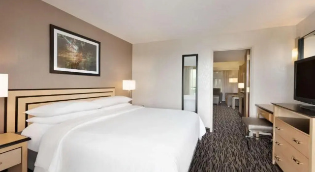 Двухместный люкс с 2 комнатами с балконом Embassy Suites by Hilton Convention Center Las Vegas