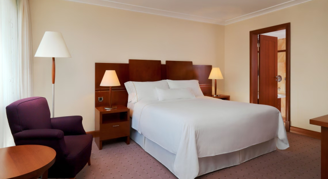 Люкс Executive c 1 комнатой с видом на город The Westin Zagreb