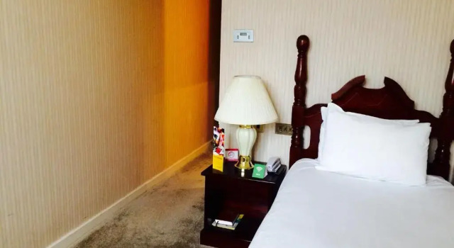 Одноместный номер The International Hotel