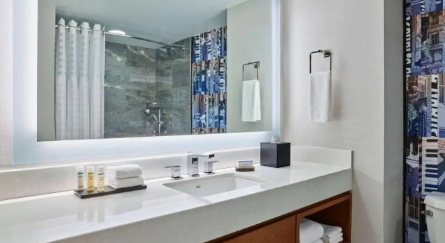 Люкс Deluxe с 2 комнатами Embassy Suites by Hilton Washington DC Convention Center