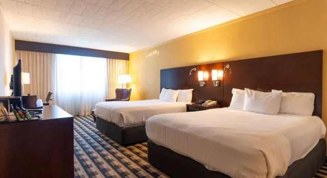 Номер Classic M Hotel Buffalo
