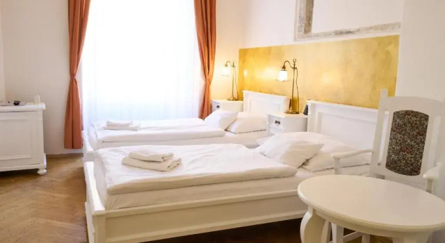 Двухместный номер Standard Hotel U Zlateho jelena