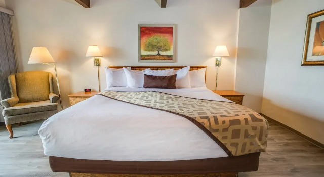 Номер Pet Friendly с балконом и с видом на океан Adobe Resort