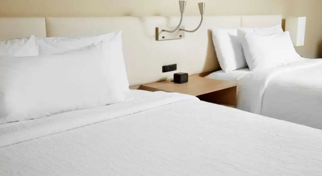 Номер Hilton Garden Inn Savannah Midtown