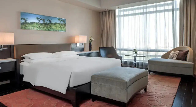 Двухместный люкс Diplomat Park Hyatt Hotel and Residences, Hyderabad