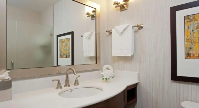 Двухместный люкс Mobility Accessible with Roll-In Shower Hilton Garden Inn Indianapolis Downtown
