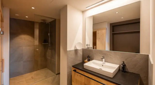 Двухместный Люкс Diana Wellness ADEA Lifestyle Suites Fieberbrunn