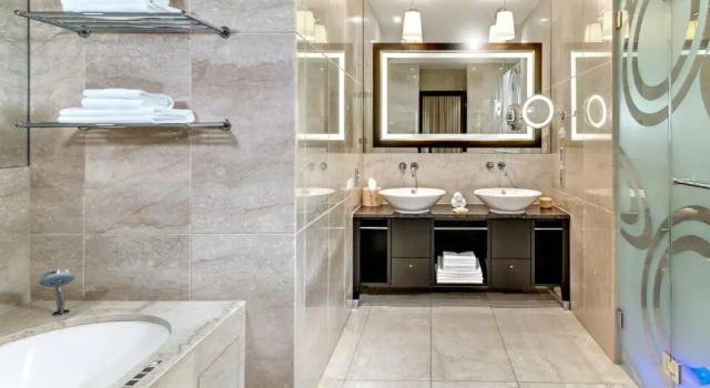 Одноместный люкс Deluxe Grand Hotel River Park, a Luxury Collection Hotel, Bratislava