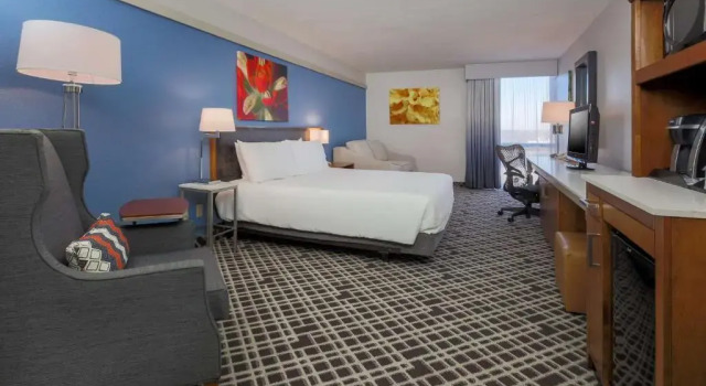 Номер Deluxe Hilton Garden Inn Dallas/Market Center