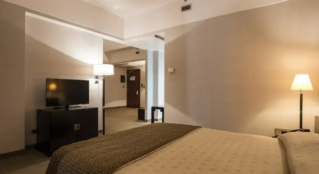 Двухместный люкс FlyOn Hotel & Conference Center