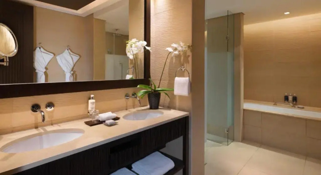 Двухместный номер Lagoon Access Deluxe Anantara The Palm Dubai Resort