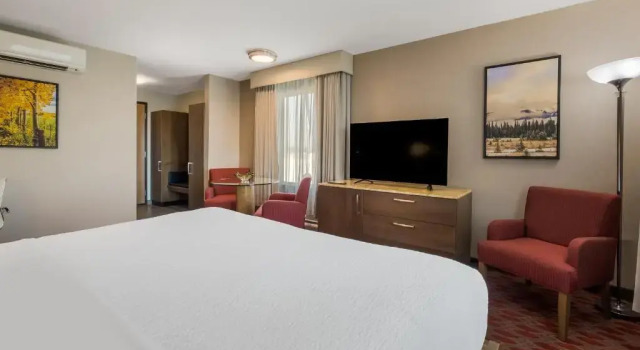 Camera doppia Corner Hotel 11, MOD A Sonesta Collection
