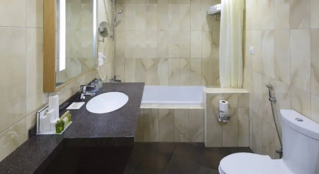 Двухместный полулюкс Occidental Sharjah Grand