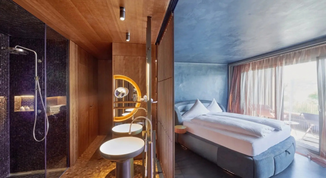 Двухместный полулюкс с видом на озеро Sonne Seehotel