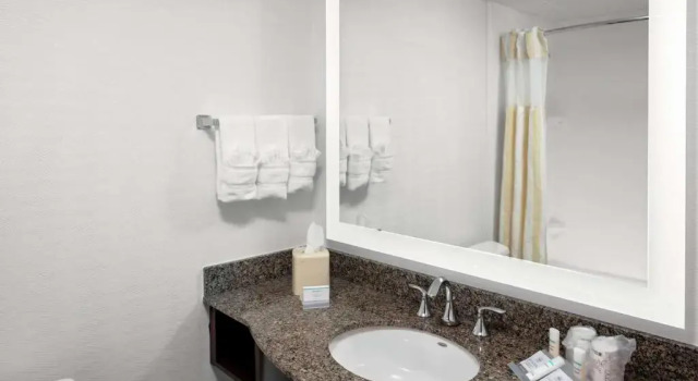 Двухместный полулюкс Conference Hilton Garden Inn Atlanta Perimeter Dunwoody