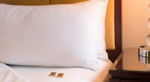 Двухместный номер Superior Plus Corner Millennium Hotel Knickerbocker Chicago