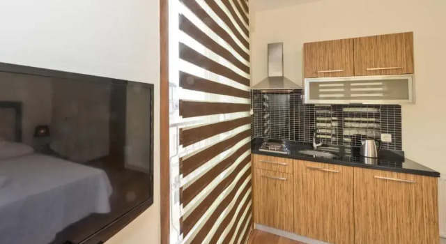 Двухместная студия Deluxe с видом на город Апарт-отель Invictum Residence