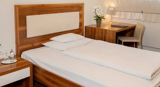 Двухместный номер Business Hotel Gollner