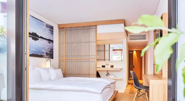 Полулюкс с террасой ART HOUSE Basel - Member of Design Hotels