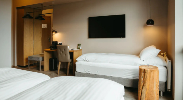 Трёхместный номер Standard Hotel Vík í Mýrdal