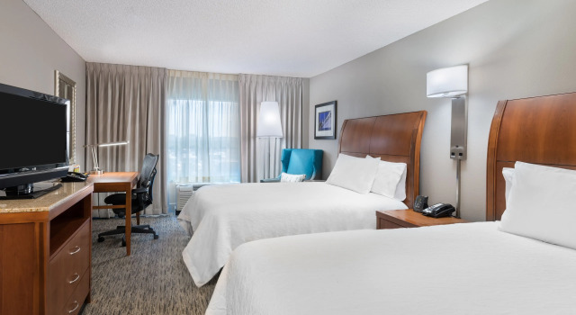 Двухместный полулюкс Hilton Garden Inn Tampa Airport/Westshore