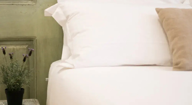 262 Boutique Hotel