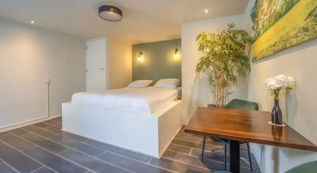 Двухместный полулюкс Fletcher Hotel-Restaurant Waalwijk