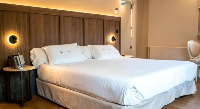 Двухместный полулюкс Hotel Rio Bidasoa
