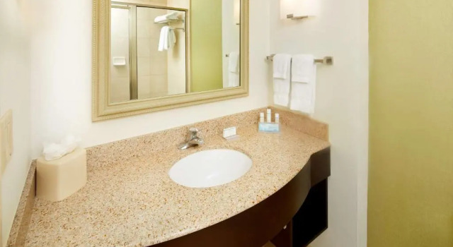 Двухместный люкс c 1 комнатой Hilton Garden Inn Savannah Midtown