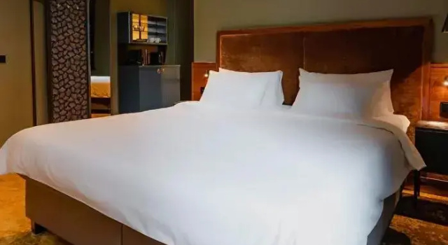 Двухместный номер Comfort Hotel Mai Amsterdam