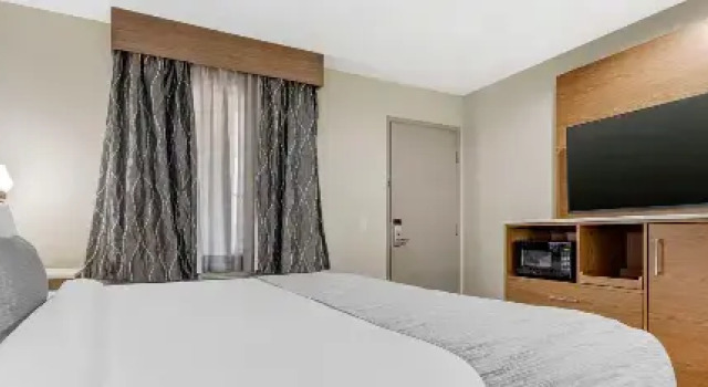 Двухместный номер Pet Friendly Best Western Carlsbad by the Sea