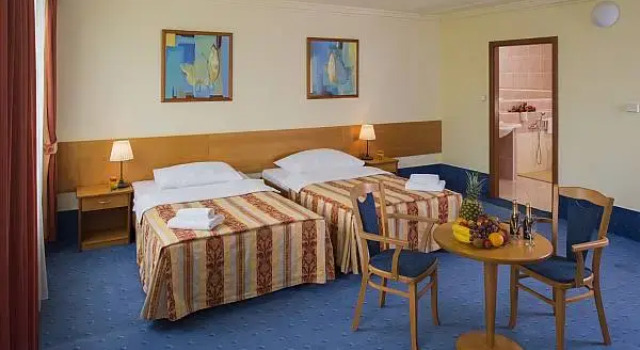 Camera doppia Executive TOP HOTEL Praha